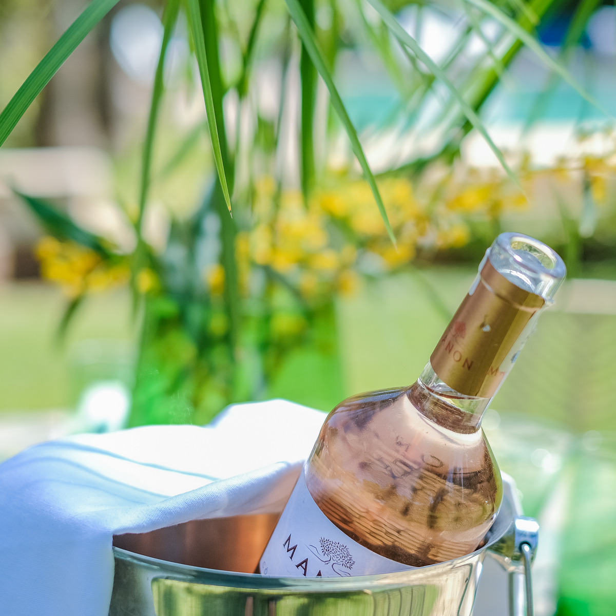 Description in english. Paris, France, 2014-15. Photography by stephane louesdon / hans lucas.
Description en francais. Paris, France, 2014-15. Photographie de Stephane Louesdon / Hans Lucas.