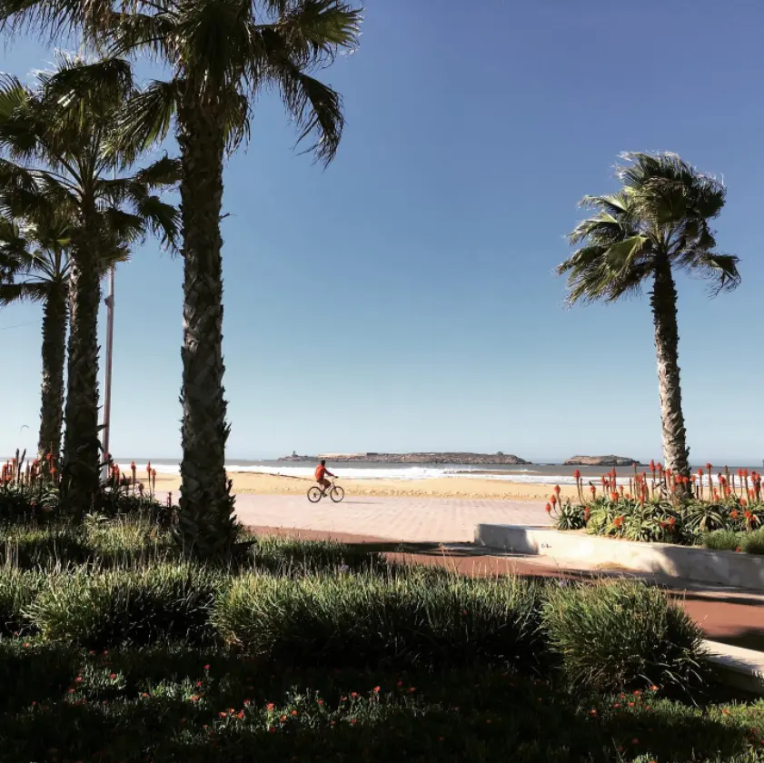 Holidays in Essaouira